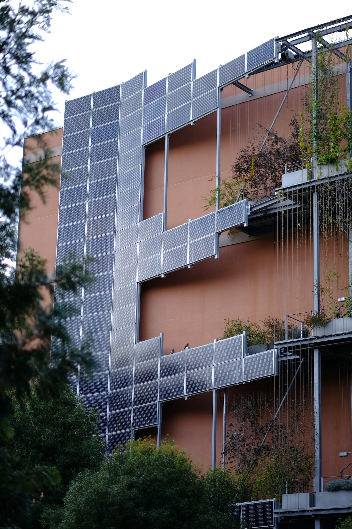 Bridging the Gap Between Academia and Environmental Policy